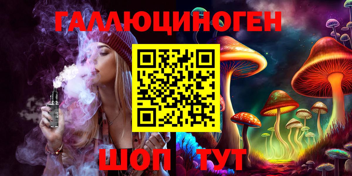 Елизово  Псилоцибиновые грибы мицелий  Вход с VPN 